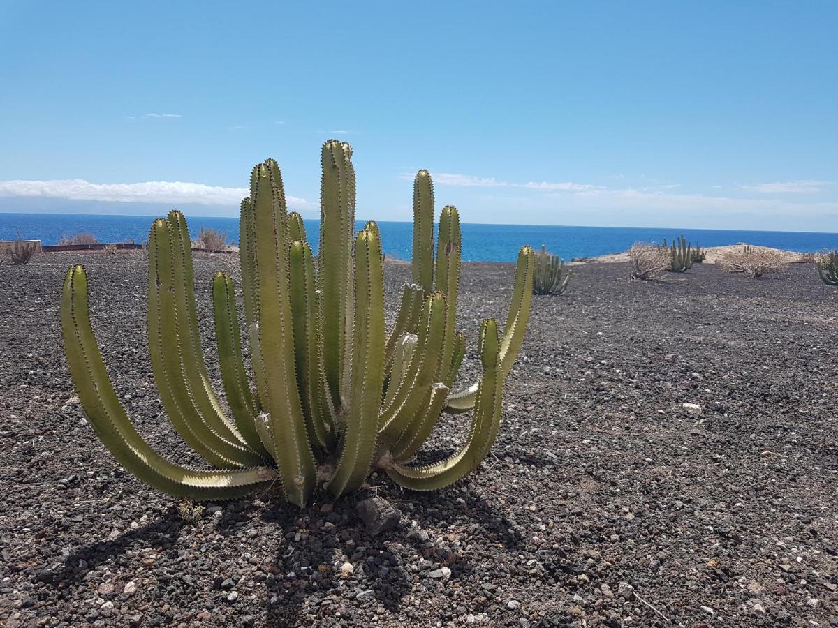 Tenerife Lizards - Duplex In The First Line Callao Salvaje Ngoại thất bức ảnh