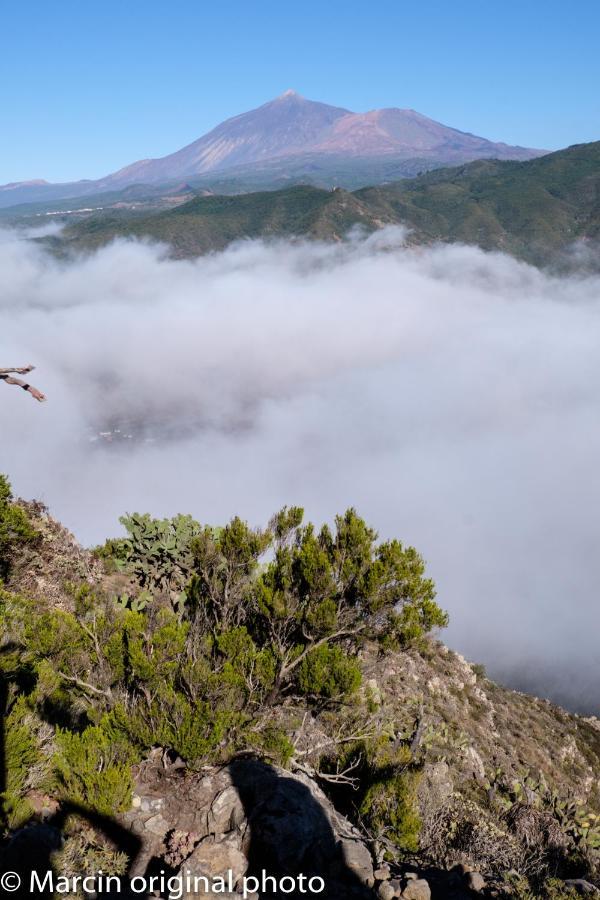 Tenerife Lizards - Duplex In The First Line Callao Salvaje Ngoại thất bức ảnh