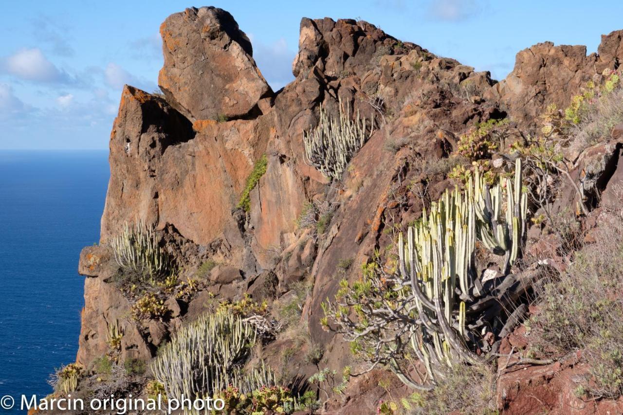 Tenerife Lizards - Duplex In The First Line Callao Salvaje Ngoại thất bức ảnh
